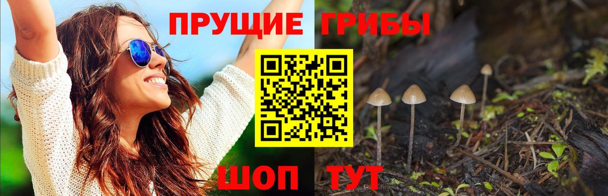 Галлюциногенные грибы GOLDEN TEACHER Заволжье