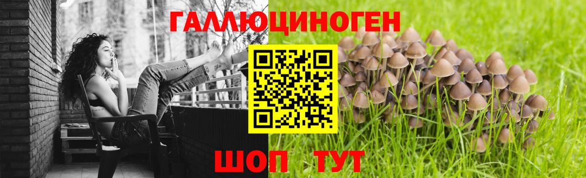 Псилоцибиновые грибы ЛСД  Вход с VPN  Заволжье 